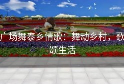 广场舞泰乡情歌：舞动乡村，歌颂生活