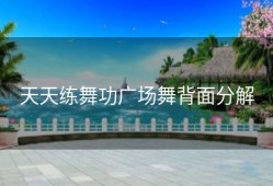 天天练舞功广场舞背面分解