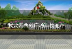 我要去西葳广场舞杨丽萍