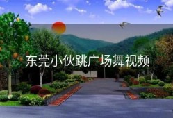 东莞小伙跳广场舞视频