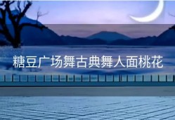 糖豆广场舞古典舞人面桃花