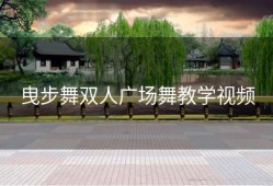 曳步舞双人广场舞教学视频