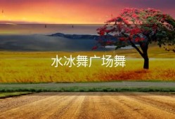 水冰舞广场舞