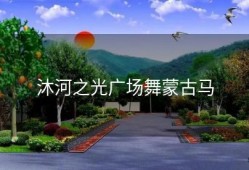 沐河之光广场舞蒙古马
