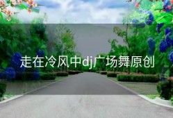 走在冷风中dj广场舞原创
