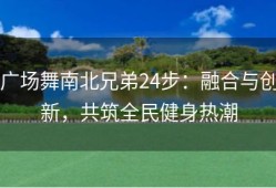 广场舞南北兄弟24步：融合与创新，共筑全民健身热潮