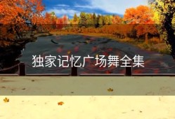 独家记忆广场舞全集