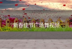 新春佳节广场舞视频