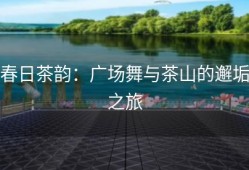 春日茶韵：广场舞与茶山的邂垢之旅