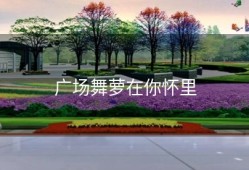 广场舞萝在你怀里