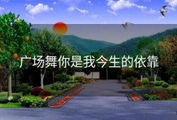 广场舞你是我今生的依靠