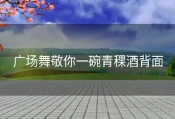 广场舞敬你一碗青稞酒背面