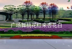 广场舞桃花红来杏花白