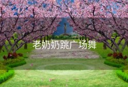 老奶奶跳广场舞