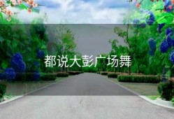 都说大彭广场舞