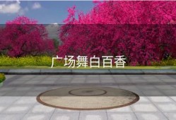 广场舞白百香