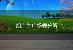 胡广生广场舞分解