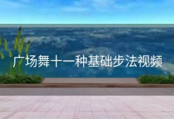 广场舞十一种基础步法视频