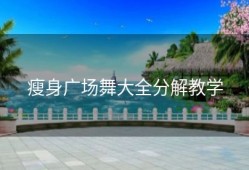 瘦身广场舞大全分解教学