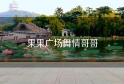 果果广场舞情哥哥