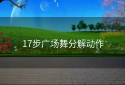 17步广场舞分解动作