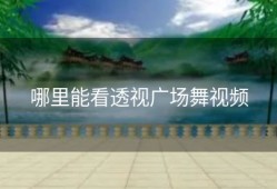 哪里能看透视广场舞视频