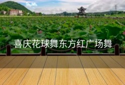 喜庆花球舞东方红广场舞