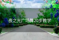 夜之光广场舞20步教学