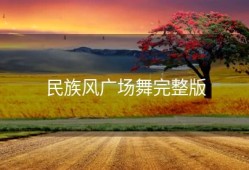 民族风广场舞完整版
