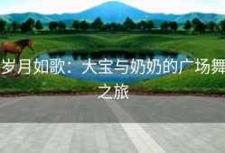 岁月如歌：大宝与奶奶的广场舞之旅