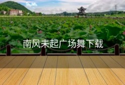 南风未起广场舞下载