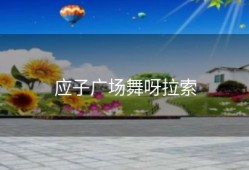 应子广场舞呀拉索