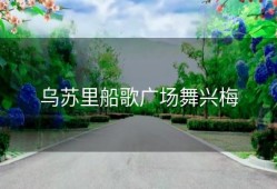 乌苏里船歌广场舞兴梅