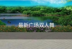 最新广场双人舞