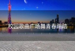 校园歌曲广场舞青春踢踏