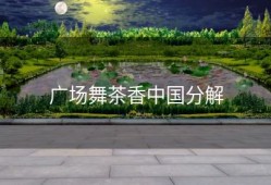 广场舞茶香中国分解