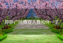 婷婷广场舞双人舞相伴一生