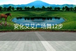 安化艾艾广场舞12步