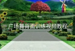 广场舞背面训练视频教程