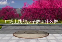 广场上跳的步子舞叫什么舞