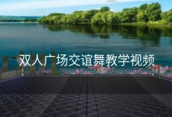 双人广场交谊舞教学视频