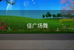 佳广场舞