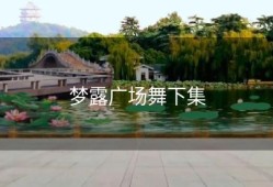 梦露广场舞下集