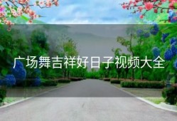 广场舞吉祥好日子视频大全