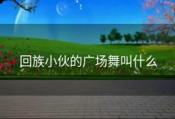 回族小伙的广场舞叫什么