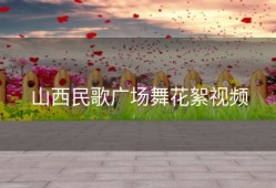 山西民歌广场舞花絮视频