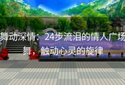 舞动深情：24步流泪的情人广场舞，触动心灵的旋律