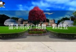 盛泽雨夜广场舞一颗红豆