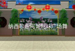 纳西歌曲阿哥阿妹广场舞