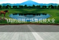 飞翔的翅膀广场舞视频大全